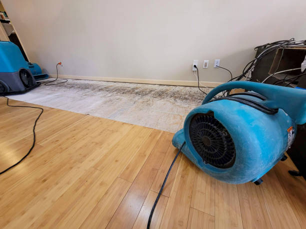 Professional Structural Drying technician working in Elrama, PA